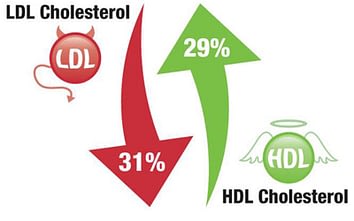 Lower Bad Cholesterol Without Medication