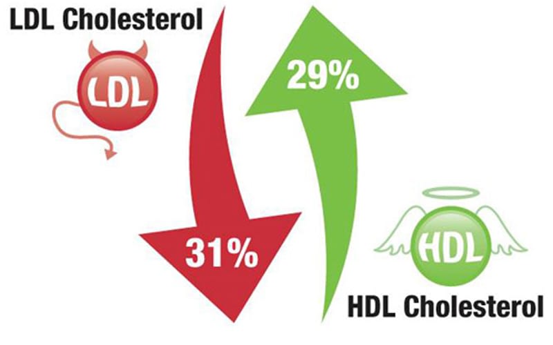 Lower Bad Cholesterol Without Medication
